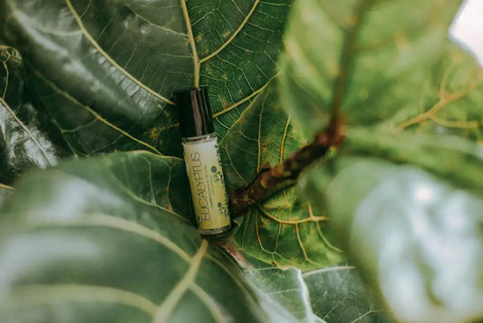 Innovative Uses of Plant Extracts in Modern Health