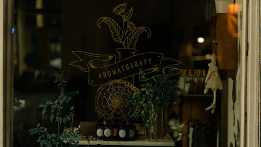 What Is a Kratom Shop and How Does It Operate?