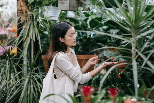 Why a Botanical Store is Key to Natural Health Solutions