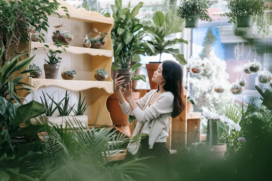 7 Ways a Botanical Store Can Transform Your Health Routine