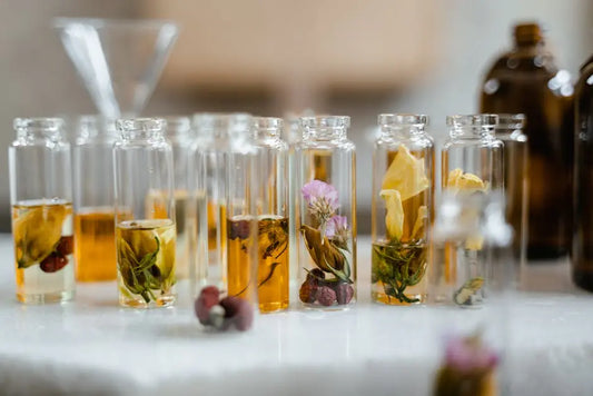 Botanical Store Essentials: Understanding Botanical Extracts