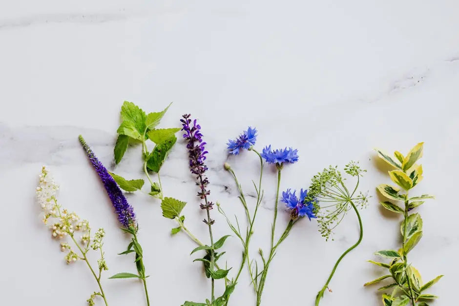 8 Questions to Ask Before Buying from a Botanical Store