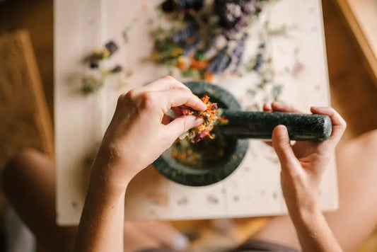 8 Reasons Plant Extracts Are Revolutionizing Wellness Products