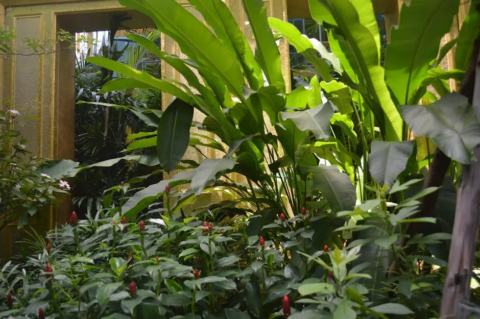 How a Botanical Store Enhances Your Wellness Journey