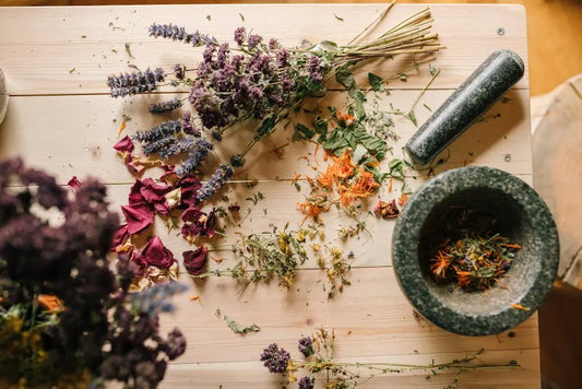 20 Amazing Plant Extracts with Proven Health Benefits