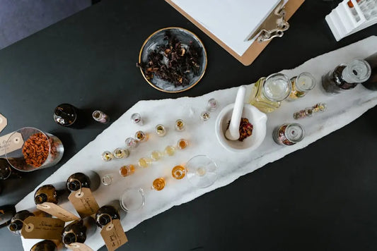 Exploring the World of Plant Extracts: A Beginner's Guide