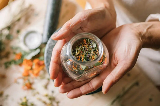 12 Plant Extracts to Include in Your Health Arsenal