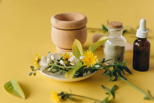 9 Plant Extracts to Elevate Your Natural Health Regimen