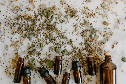 7 Fascinating Facts About Plant Extracts and Their Uses