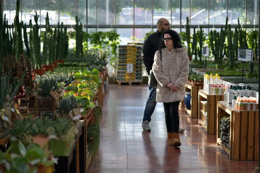 How Do Botanical Stores Ensure Quality and Safety?