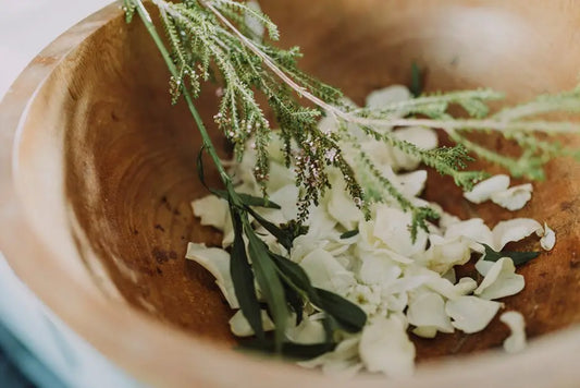 8 Ways a Botanical Store Can Enhance Your Wellness Routine