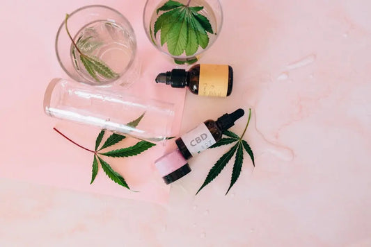 9 Innovative Uses of Plant Extracts in Modern Wellness
