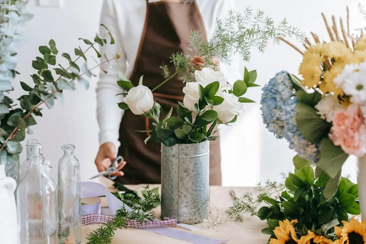 10 Essential Tips for Choosing the Right Botanical Store
