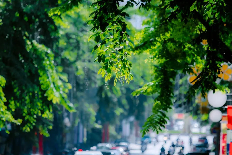 Are There Any Risks Associated with Purchasing from a Kratom Shop?