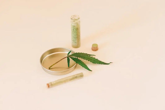 What Should I Look for in High-Quality Plant Extracts?
